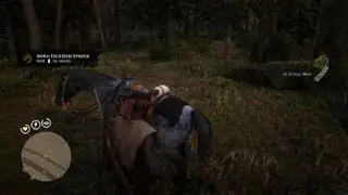 Legendary Night Beaver - Red Dead 2 Online