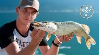 Summer Pike Fishing in Switzerland / Swiss Fishing Team