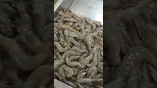 Billingsgate Market London
