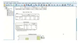 Pr&eacute;sentation Pratique III statistique descriptive Abdoul Aziz Moussa Saidou
