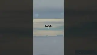 Jets Flying So Close It&rsquo;ll Blow Your Mind! #military #armyparatroopers