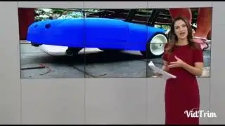 Lisa c&atilde;o guia rob&ocirc; para ajudar os deficientes visuais