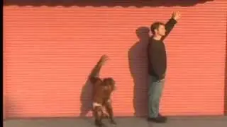 Evolution is a fraud!