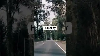 Choose Humanity First #lifelessons #motivation #wisdom #motivationalspeech #facts