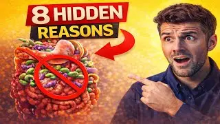 Why Your Gut Still Isn&rsquo;t Healing