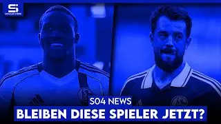 Puchacz lehnt Angebot ab! Donkor & Younes zu teuer? Bleibt Lasme? Mehr Geld durch Bulut? | S04 NEWS