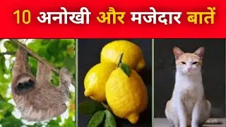 10 अनोखी और मजेदार बातें।#facts।#amazing।#education।facttechz