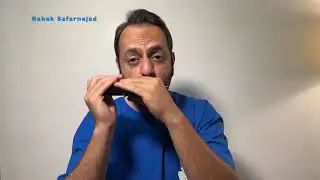 Bach – Cello Suite No  3 in C Major, Bourrée on a 16 hole chromatic harmonica .