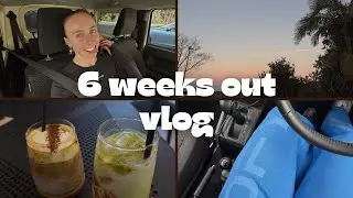 WEEKLY VLOG! 6 weeks out from my Powerlifting comp, DFYNE haul, training bts ...