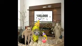 Baby Banana Cat 😺❤️ 100k Subscribers ✅ #catmemes #cat #shorts #fyp #bananacat