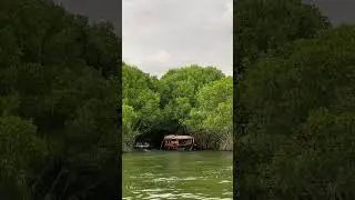 WATCH THIS BOAT STAND ALONE In A MANGROVE FOREST... What Happens Next Will AMAZE You!