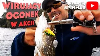 SPINMAD JIGMASTER 12G - łowienie na wirujące ogonki