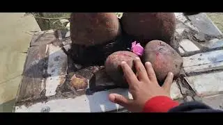 My 🏠 home #bihar #youtube #siwan 