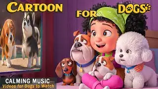 Dog Cartoons for Dogs: Anti-Anxiety Videos for Dogs | Calming Music for Dogs + Colors They Can See!