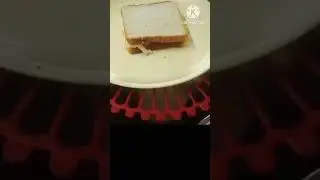 Evening breakfast snake                 sandwich #shorts #food #ytshorts