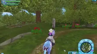STAR STABLE: how to get into the secret stone circle