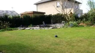 Pond guard