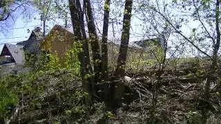 cary IL