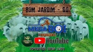 MEGA BOI LEIL&Otilde;ES - BOM JARDIM DE GOI&Aacute;S 10/02/2026