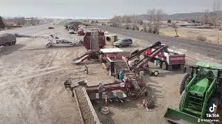 Potato seed shipping