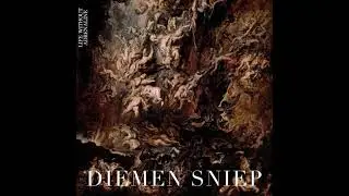 Diemen Sniep - Consequences