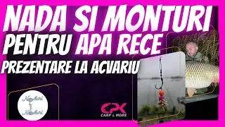 NADA si MONTURI pentru APA RECE - Prezentare la ACVARIU cu Ciprian ENE ''CPK'' la Noduri fara Noduri