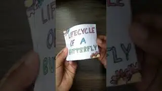 My First Flip book🐛 #lifecycle #butterfly #youtubeshorts #shorts #mishtiart&craft