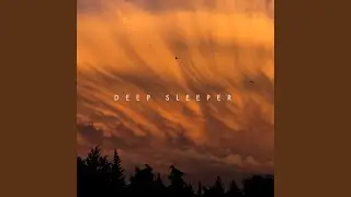 Deep Sleeper