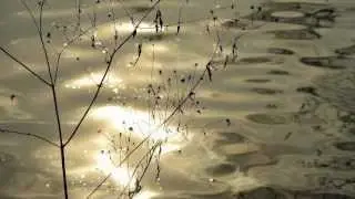 Rumi-Cuando muera