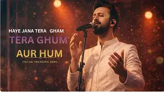 Haye Jana Tera Gham 💔 | Tera Ghum Aur Hum | Most Heart Touching Sad Song