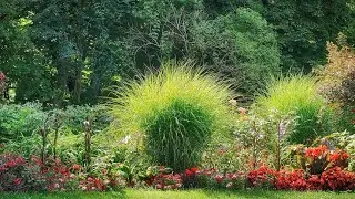 Amazing Colorful Landscape Gardens & Borders