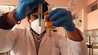 Test for SULPHITE ion : Anion Analysis  class 11 and 12 chemistry practicals NEET/JEE 2025