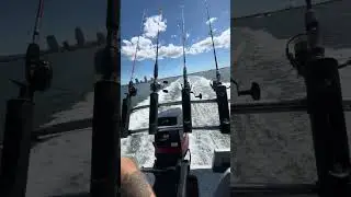 South Stradbroke Gold Coast
