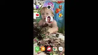 How to use FGL PRO