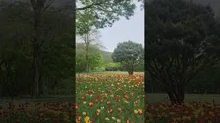 Daegu Arboretum | Adventures in South Korea