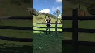 The only way to cross a fence