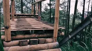 Alas Pinus Nongkojajar Cinematic