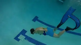 Freediving Duck Dive Practice