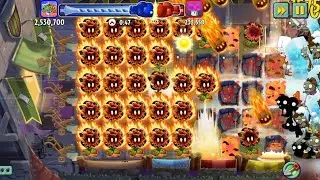 Spam meteor flowers at Online tournament PVZ 2
