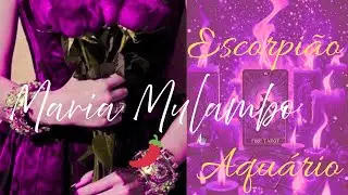Maria Mulambo 🔮🥍✨️ Um encontro do acaso que muda seu destino 💫 Escorpi&atilde;o ♏️  Aqu&aacute;rio ♒️  #signos 