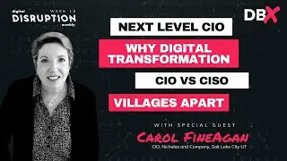 Next Level CIO, Why Digital Transformation, CIO vs. CISO, Villages Apart