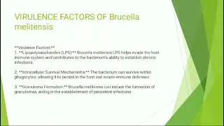 Brucella melitensis