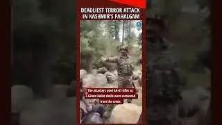 Pahalgam's Deadliest Terror Attack