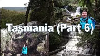 Hiking at Mount Field National Park | Tasmania Trip