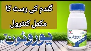 Wheat rust control product Euroton by diamond crops