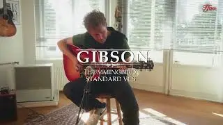 Gibson Hummingbird Standard VCS Vintage Cherry Sunburst played by Milo Groenhuijzen | Demo