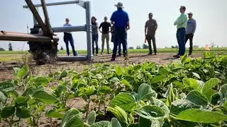 Irrigation Workshop
