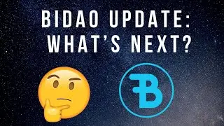 Bidao Update: What's Next?