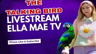 THE AMAZING TALKING BIRD 🐦