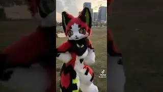 furry joa :33 #furry #highlights